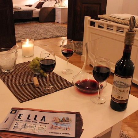 Ella Apartment Timisoara No9 Dış mekan fotoğraf