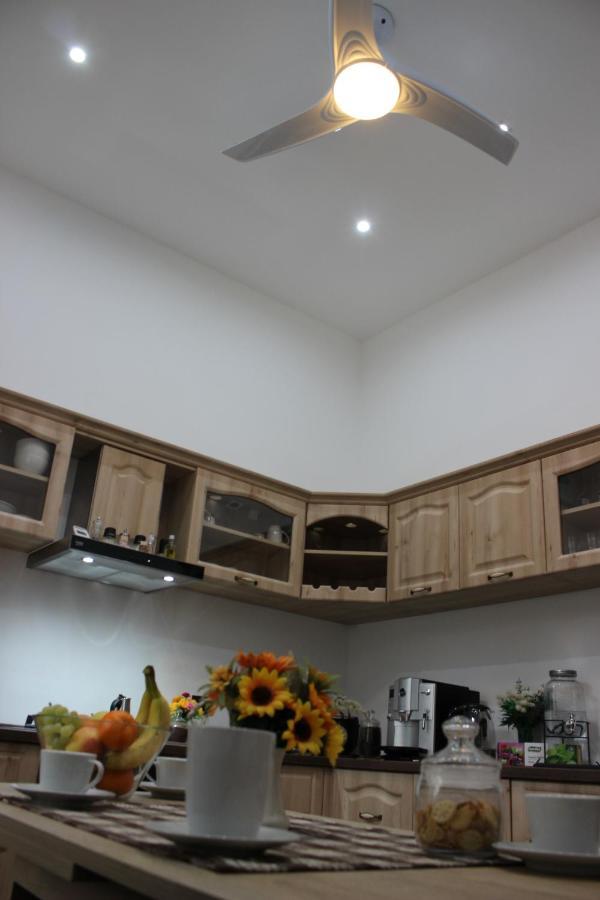Ella Apartment Timisoara No9 Dış mekan fotoğraf