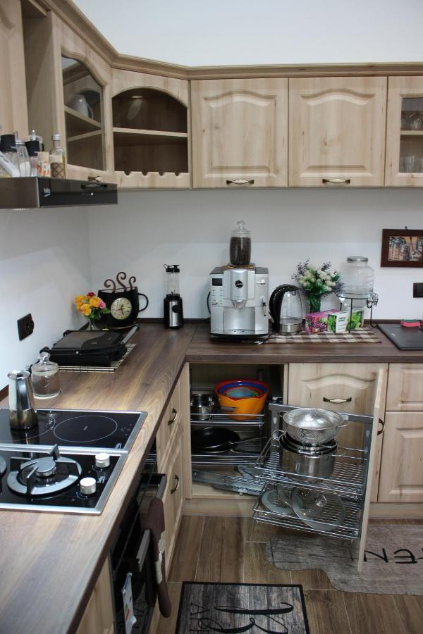 Ella Apartment Timisoara No9 Dış mekan fotoğraf
