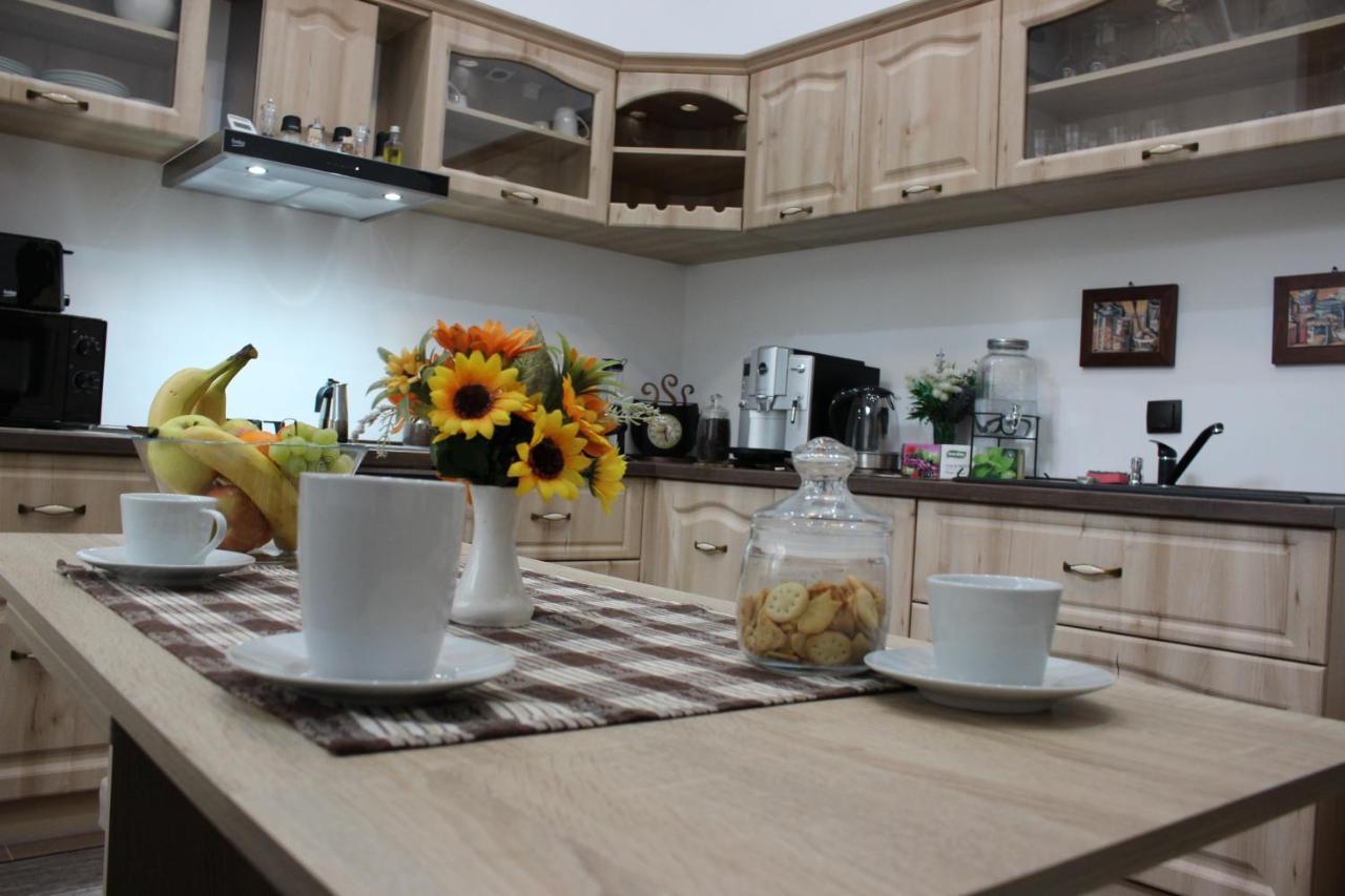 Ella Apartment Timisoara No9 Dış mekan fotoğraf