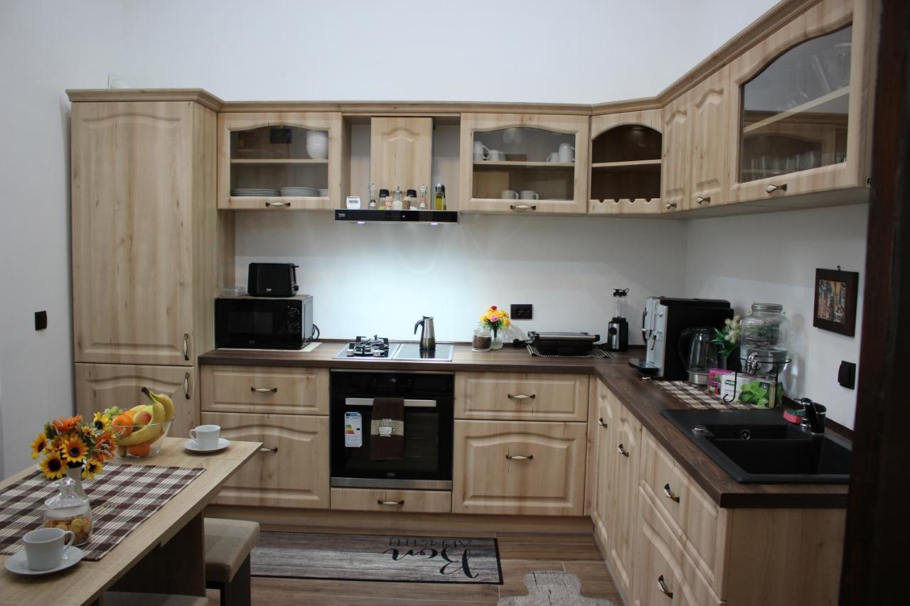 Ella Apartment Timisoara No9 Dış mekan fotoğraf