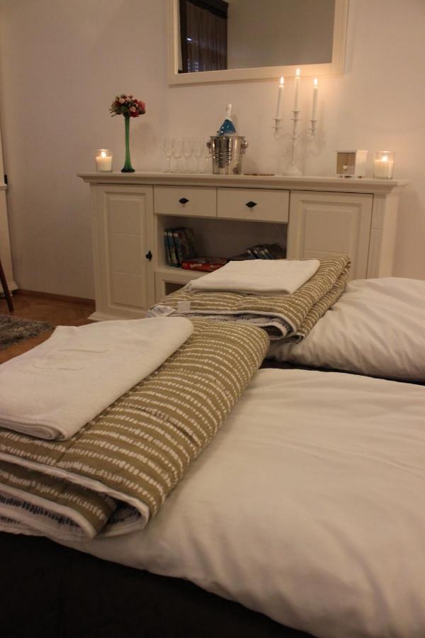 Ella Apartment Timisoara No9 Dış mekan fotoğraf