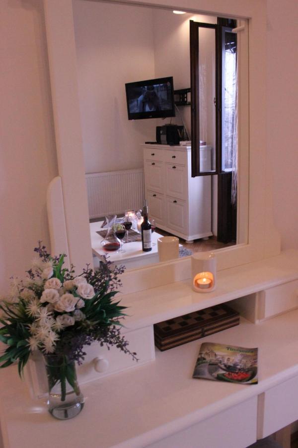 Ella Apartment Timisoara No9 Dış mekan fotoğraf