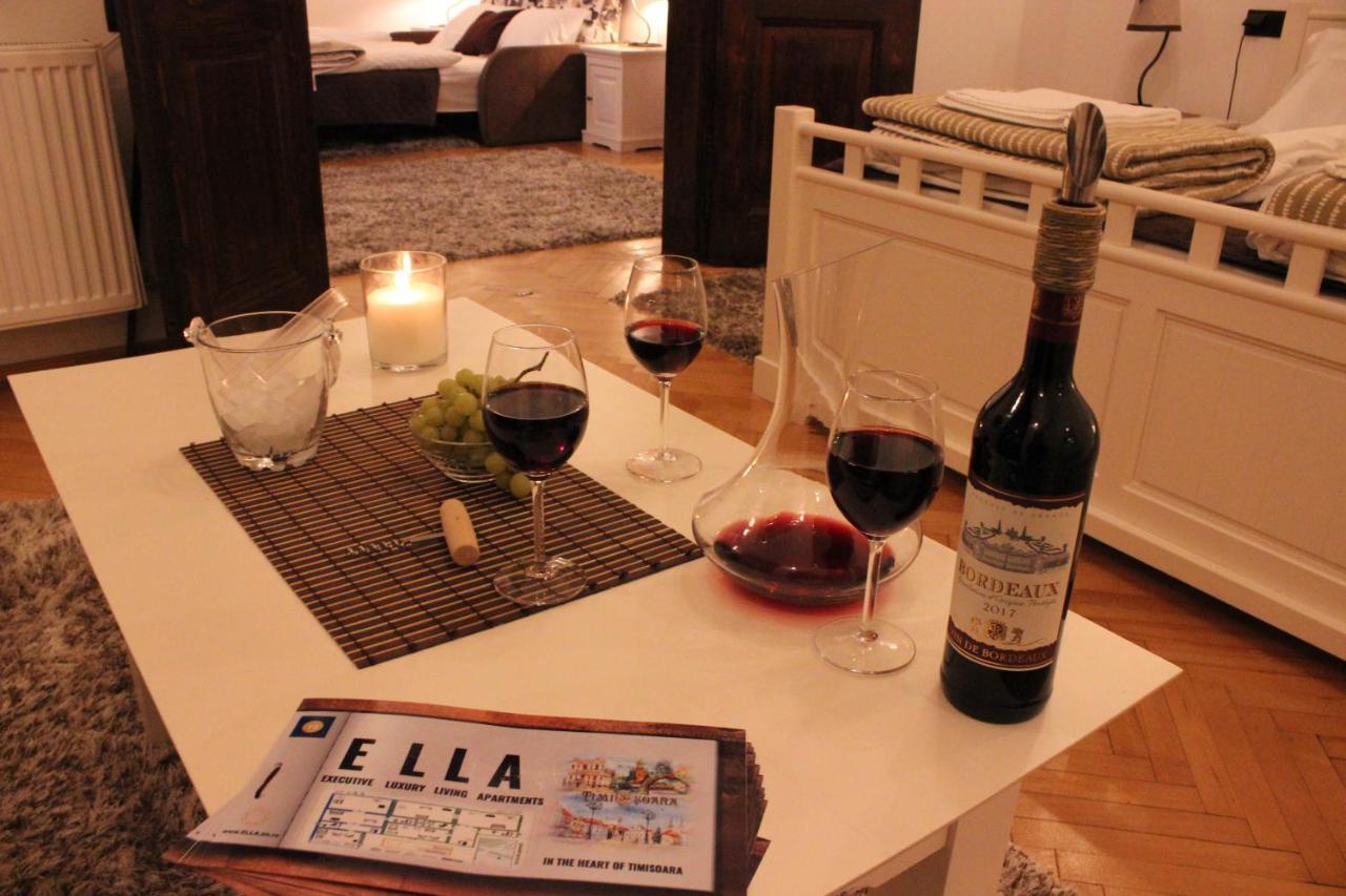 Ella Apartment Timisoara No9 Dış mekan fotoğraf