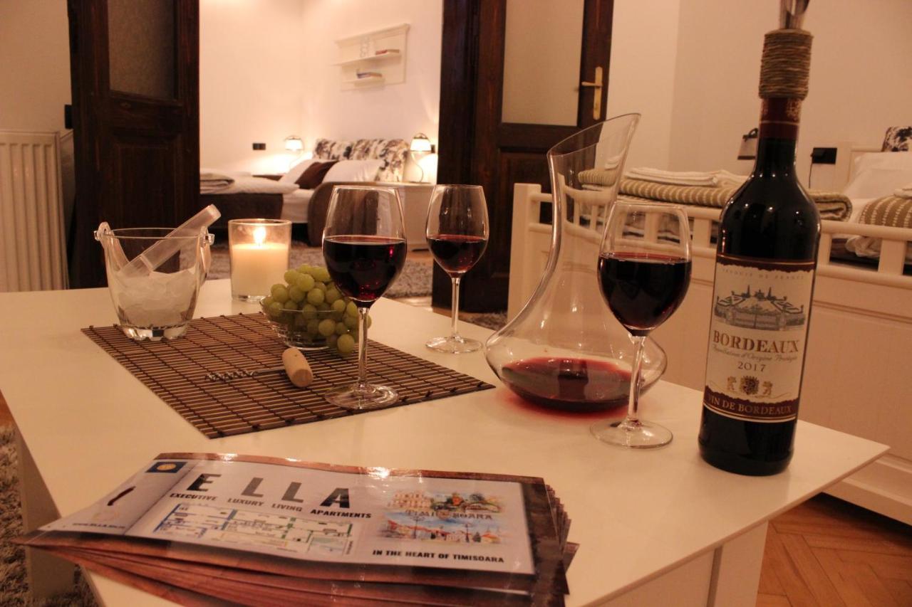 Ella Apartment Timisoara No9 Dış mekan fotoğraf