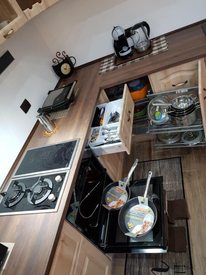 Ella Apartment Timisoara No9 Dış mekan fotoğraf